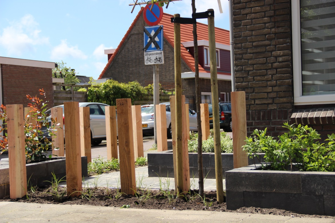 Jong groen in voortuin